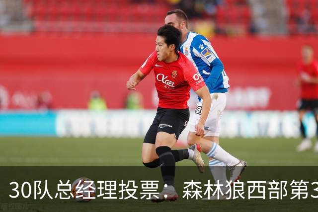 30队总经理投票：森林狼西部第3，却又被选为最难预测